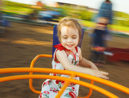 Hvad er labyrintsansen?