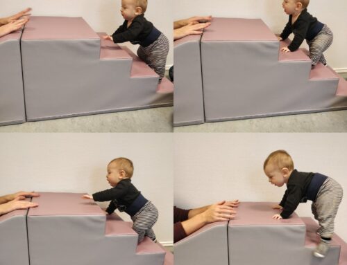 Hvad er muskel og led-sansen?