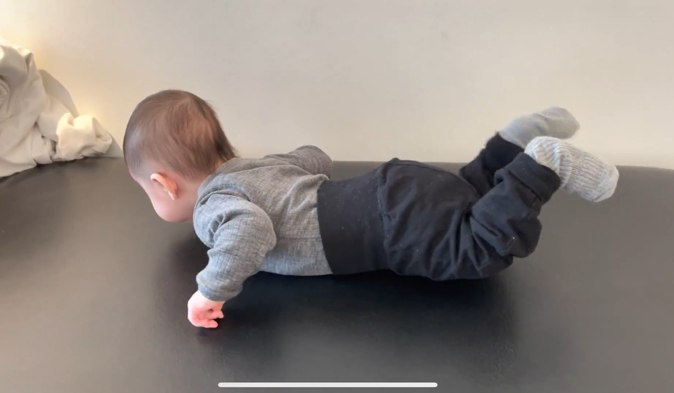 bagsidedominansbillede